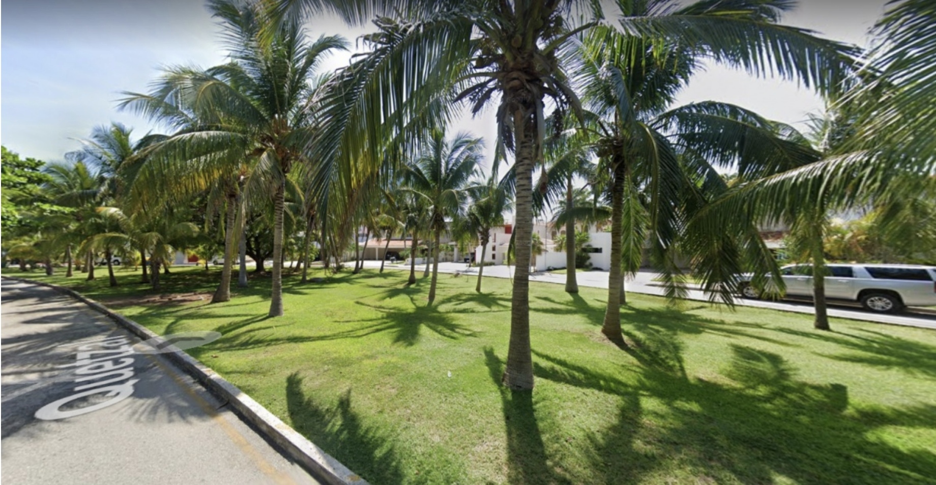 Screenshot_20250328_203403