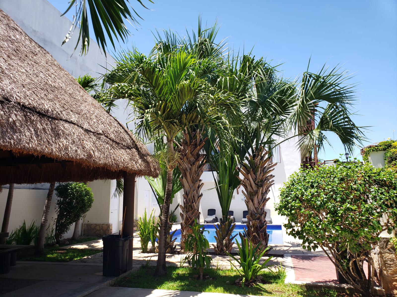 WhatsApp-Image-2025-07-02-at-1.45.24-PM-6