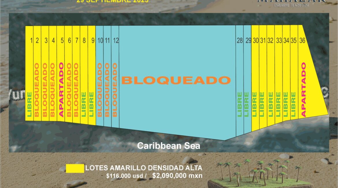 ¡ULTIMOS LOTES FRENTE AL MAR EN MAHAHUAL!