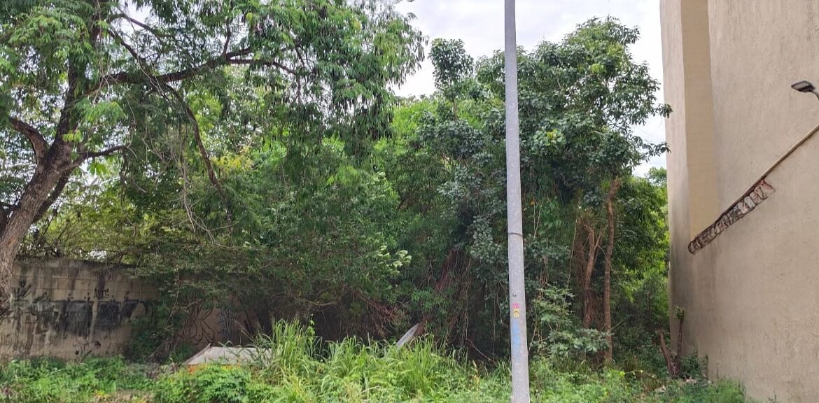 LOTE EN VENTA PLAYA DEL CARMEN