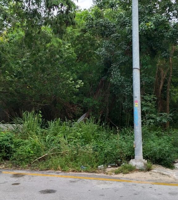 LOTE EN VENTA PLAYA DEL CARMEN